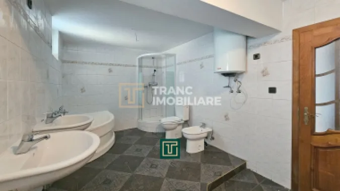 Proprietate multifunctionala - teren generos, cladire si hala in Lugoj