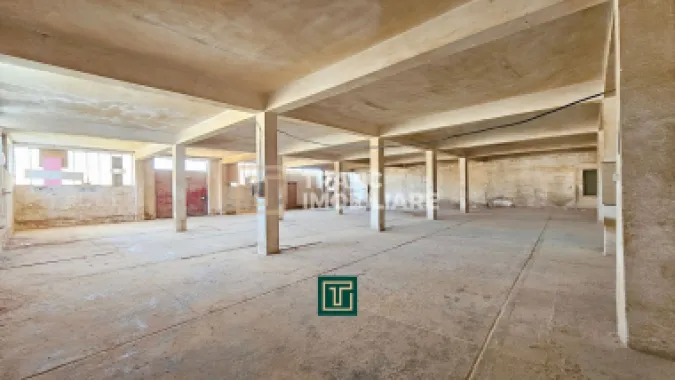 Proprietate multifunctionala - teren generos, cladire si hala in Lugoj