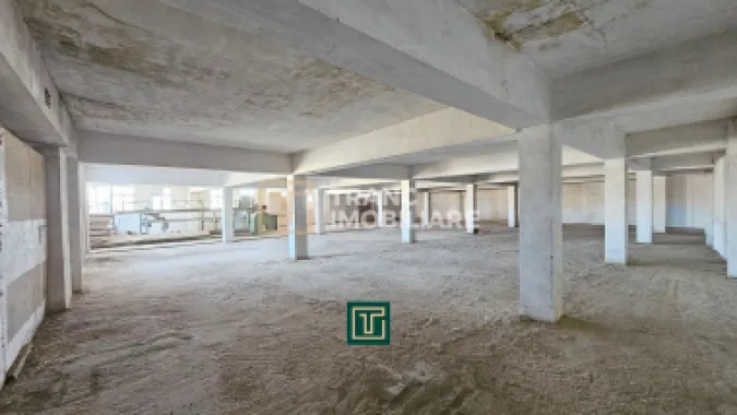 Proprietate multifunctionala - teren generos, cladire si hala in Lugoj
