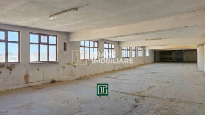Proprietate multifunctionala - teren generos, cladire si hala in Lugoj