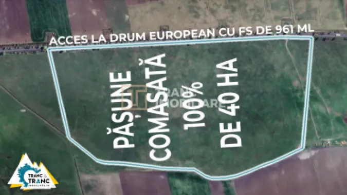 Teren PASUNE de 40ha, Comasat 100%, cu FS de 961 ml la Drumul European