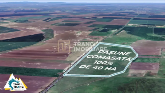 Teren PASUNE de 40ha, Comasat 100%, cu FS de 961 ml la Drumul European