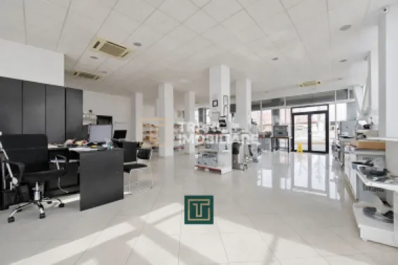 Clădire premium cu fațadă integral vitrată – oportunitate unică in Arad