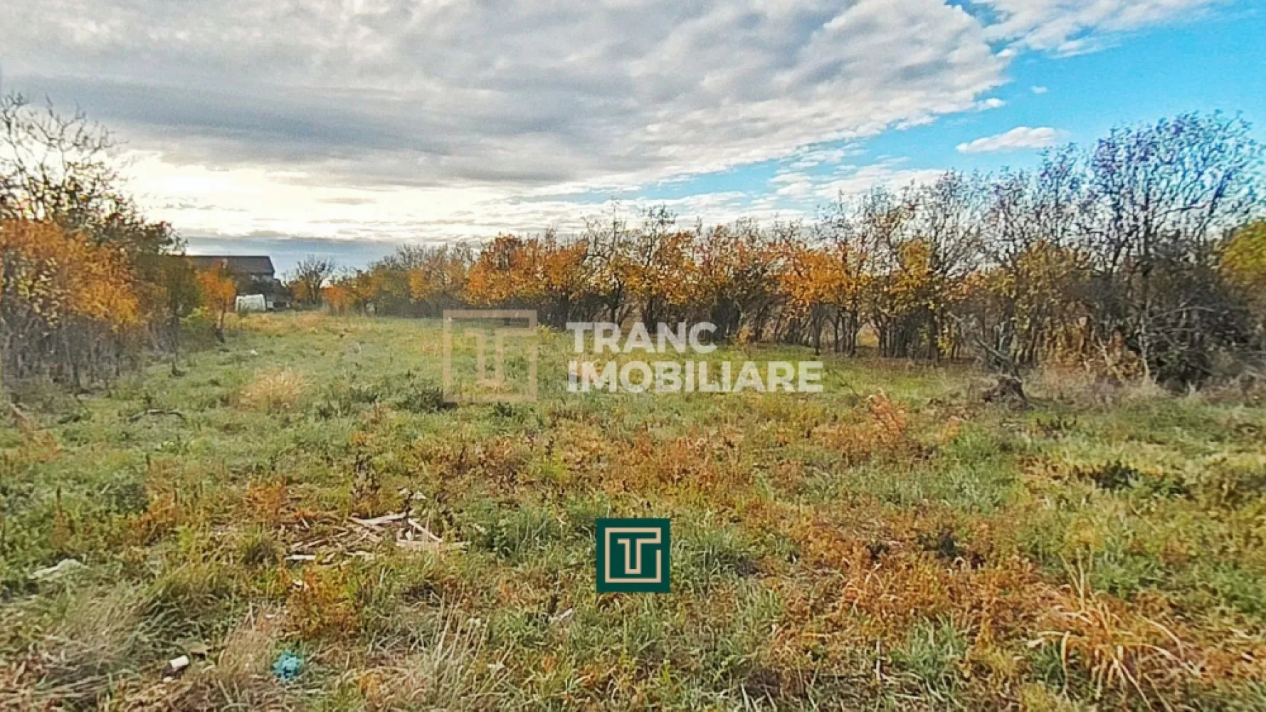 Teren intravilan de vânzare în Aluniș, județul Arad