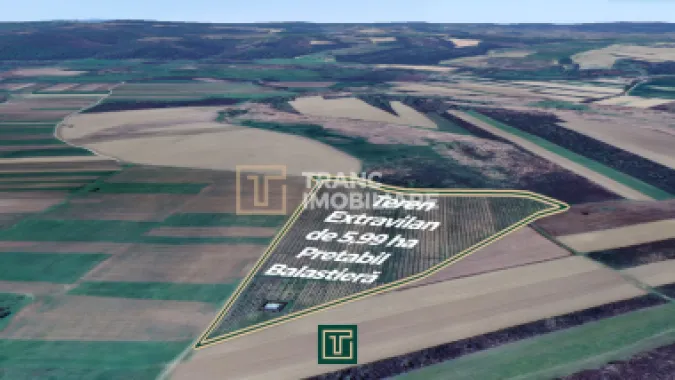 Teren extravilan de 5,99 ha la 200 m de Mureș, ideal pentru balastieră în Ususău