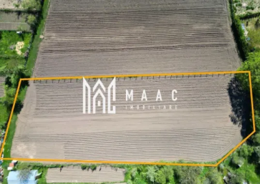 Logo MAAC IMOBILIARE logo