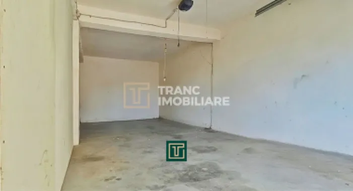 Clădire cu 10 camere în Aradul Nou – ideală pentru investiție/afaceri