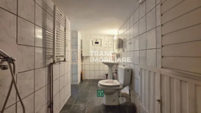 Apartament 1 cameră de închiriat ultracentral – ideal pentru birou,Timisoara