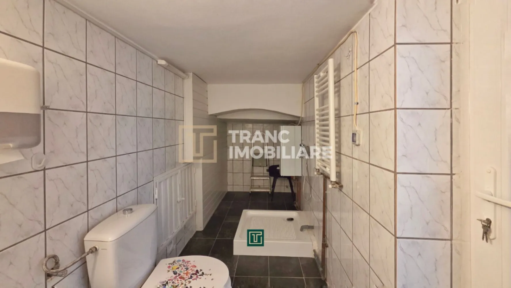 Apartament 1 cameră de închiriat ultracentral – ideal pentru birou,Timisoara