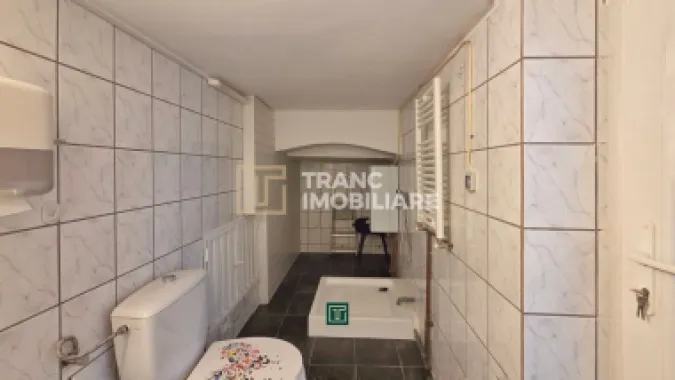 Apartament 1 cameră de închiriat ultracentral – ideal pentru birou,Timisoara