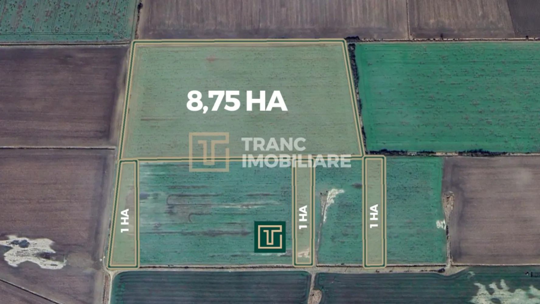 Teren agricol de 11,75 ha de vânzare, la 1,5 km de Turnu, jud. Arad - Tranc imobiliare îți propune spre vânzare un teren agricol cu suprafața totală de 11,75 hectare, situat la doar 1,5 km de localitatea Turnu, în județul Arad, într-o zonă accesibilă și cu potențial bun pentru exploatare agricolă sau investiție.

Proprietatea este compusă din 4 cărți funciare, astfel:

1 CF cu suprafața de 8,75 ha
3 CF-uri a câte 1 ha fiecare
Terenurile de câte 1 ha sunt lipite de parcela principală de 8,75 ha, însă nu sunt alipite succesiv între ele. Proprietatea beneficiază de drum de acces, aspect important pentru exploatarea facilă a terenului.

Avantaje:

suprafață generoasă
amplasare bună, aproape de Turnu
acces facil
structură potrivită atât pentru exploatare agricolă, cât și pentru investiție
teren împărțit pe mai multe CF-uri, oferind flexibilitate
Pentru mai multe detalii, nu ezitați să ne contactați.