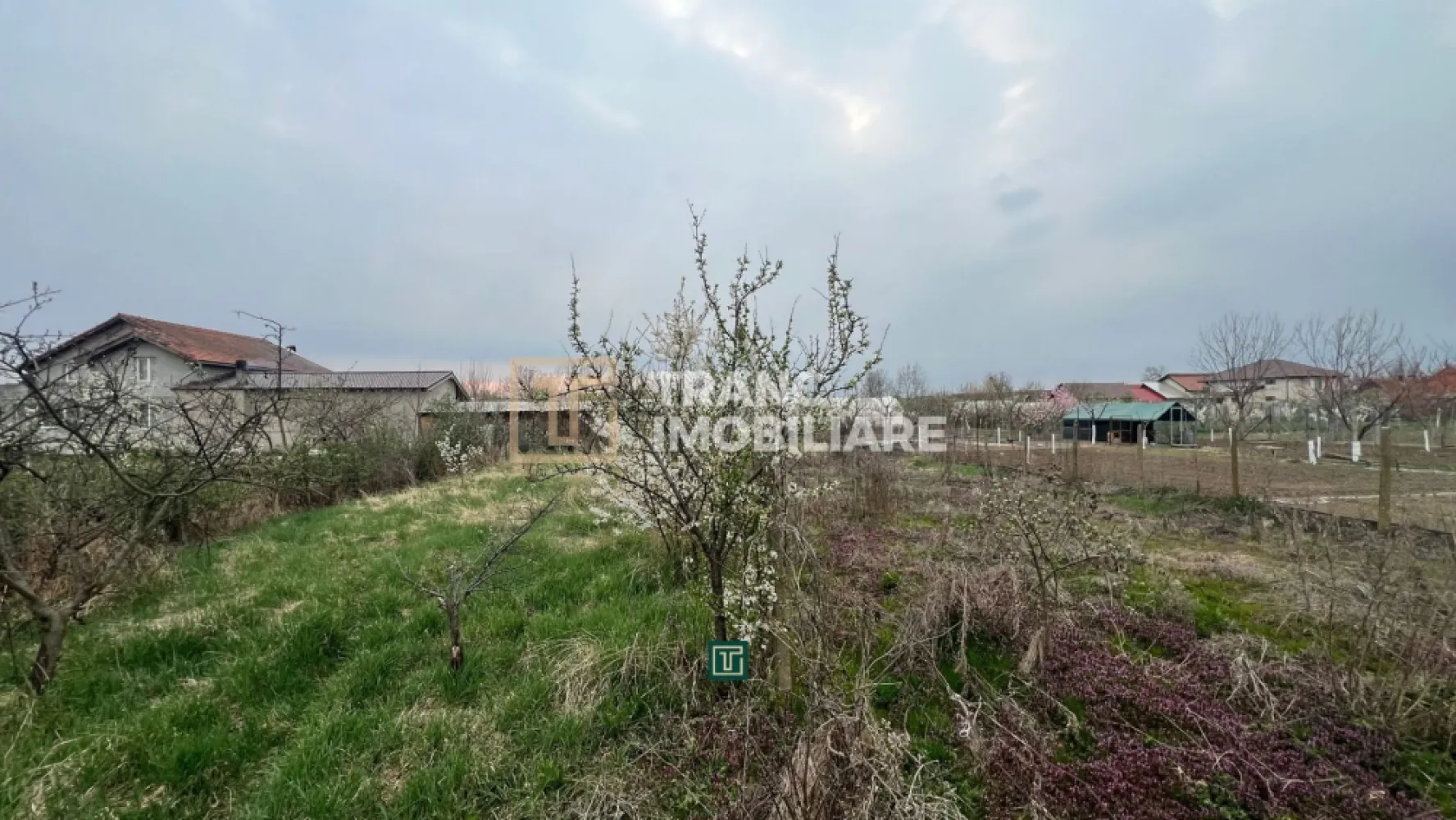 Teren intravilan generos de vânzare în Recaș - Vă propunem spre vânzare un teren intravilan situat în Recaș, o zonă apreciată pentru liniște și accesibilitate. Proprietatea are o suprafață totală de 1.438 mp și un front stradal de 19,5 ml, fiind ideală atât pentru construcția unei locuințe, cât și pentru investiții pe termen lung.

Pe teren se află o casă bătrânească, construită în anul 1929 din văiugă, cu o suprafață construită de 114 mp și aproximativ 89 mp utili. Imobilul este într-o stare veche, nefiind locuibil, iar valoarea principală a proprietății este dată de terenul generos și potențialul acestuia de dezvoltare.

Un alt avantaj important îl reprezintă vegetația existentă, terenul fiind plantat cu pomi fructiferi maturi, precum pruni, caiși, smochin, coacăze, păr și măr, oferind un cadru natural plăcut și un plus de intimitate.

Datorită poziționării și dimensiunii, terenul este potrivit pentru construirea unei case, a unei locuințe de vacanță sau chiar pentru o investiție într-o zonă în continuă dezvoltare. Locația este excelentă, oferind un echilibru ideal între liniștea zonei și accesul facil către punctele de interes.

Pentru mai multe informații sau pentru a programa o vizionare, vă stăm cu drag la dispoziție.
