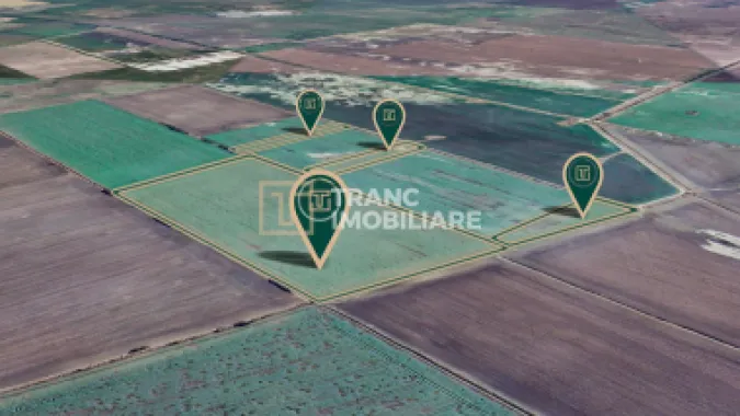 Teren agricol de 11,75 ha de vânzare, la 1,5 km de Turnu, jud. Arad