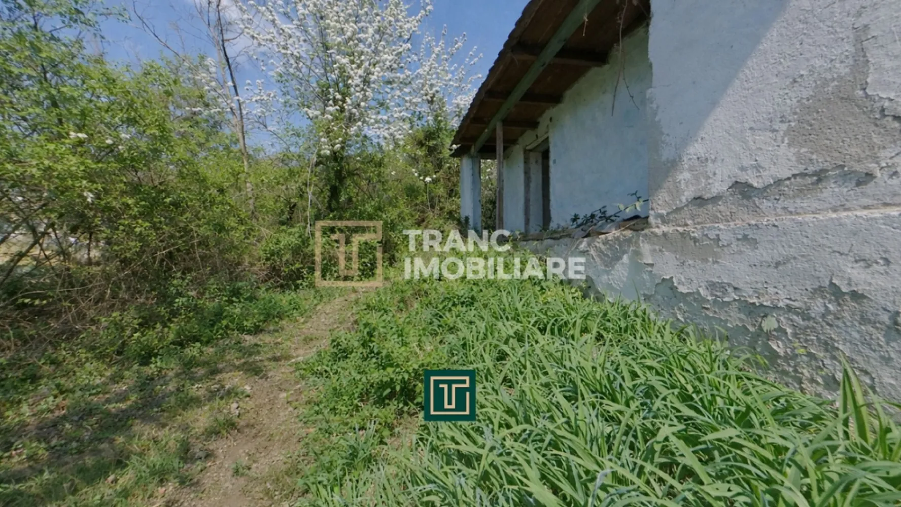 Casă de vânzare cu teren 874 mp – ideală pentru casă de vacanță, Covasant - Tranc Imobiliare vă propune spre vânzare o proprietate situată în localitatea Covăsânț, la aproximativ 29 km de Arad și la doar 6 km de Ghioroc, într-o zonă retrasă, perfectă pentru cei care își doresc liniște, natură și un refugiu departe de agitația orașului.

Proprietatea dispune de un teren generos de 874 mp, cu front stradal de 14 ml, fiind amplasată în partea veche a localității, într-un cadru liniștit, cu vecini liniștiți și iluminat stradal.

Casa, construită în anul 1980, are o suprafață utilă de aproximativ 40 mp și este compartimentată în 2 camere și o debara/cămară. În lateral există o terasă unde a fost amenajat un cuptor de pâine, element care adaugă un farmec autentic și rustic proprietății.

Terenul este plan în zona construcției, iar restul suprafeței este dispus în pantă, oferind un potențial excelent pentru amenajări peisagistice, grădină sau zone de relaxare cu priveliște.

Imobilul necesită renovare completă, fiind ideal pentru cei care își doresc să creeze un spațiu personalizat, după propriul gust. Terenul necesită curățare și defrișare, iar accesul se face pe drum de pământ, cu posibilitate de amenajare pentru acces auto facil.

Utilitățile existente includ curent electric, cu posibilitatea de alimentare cu apă prin hidrofor și instalarea unei fose septice.

O alegere excelentă pentru casă de vacanță sau refugiu de liniște, într-o zonă autentică și relaxantă.