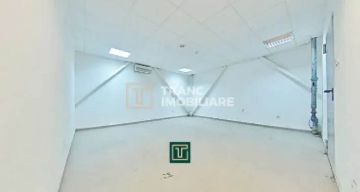 Hală industrială 824 mp de vânzare în Zona Industrială Sud Arad acces rapid A1