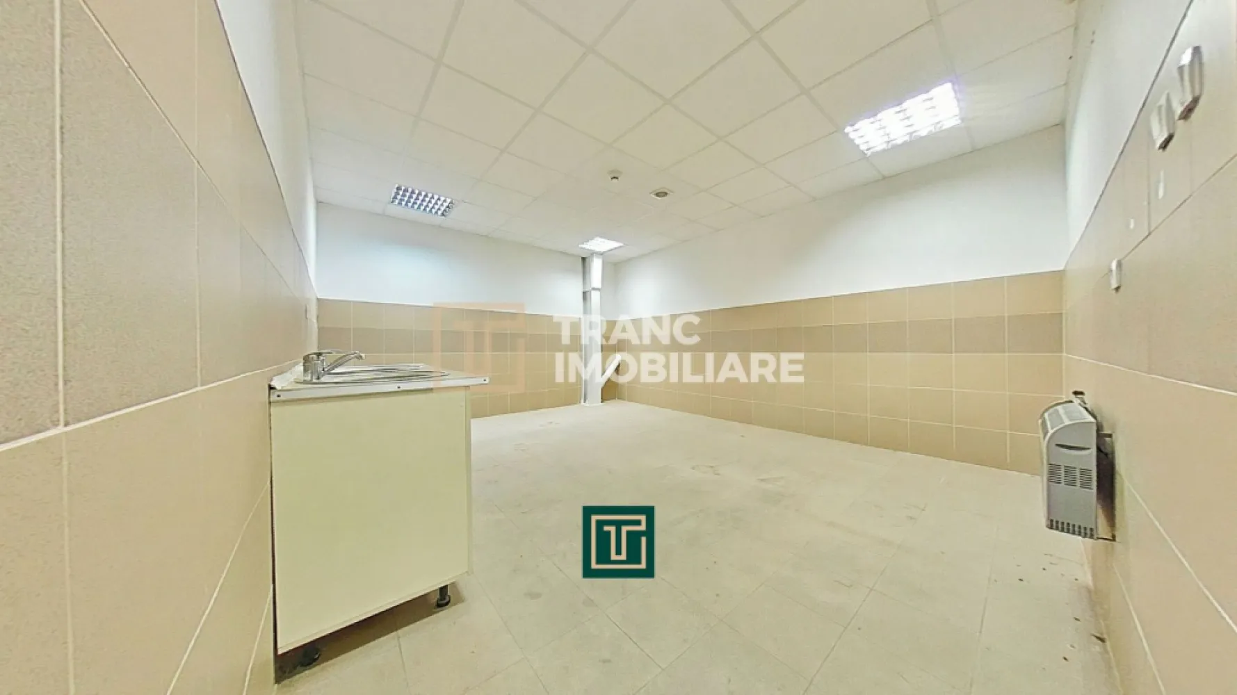 Hală industrială 824 mp de vânzare în Zona Industrială Sud Arad acces rapid A1