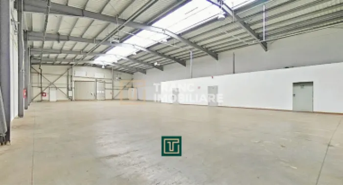 Hală industrială 704 mp de vânzare în Zona Industrială Sud Arad acces TIR