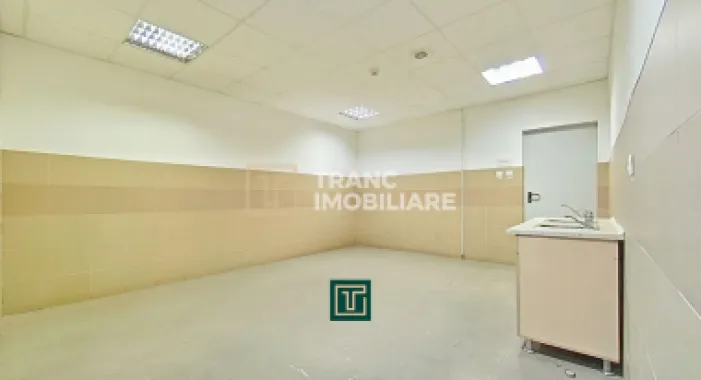 Hală industrială 704 mp de vânzare în Zona Industrială Sud Arad acces TIR