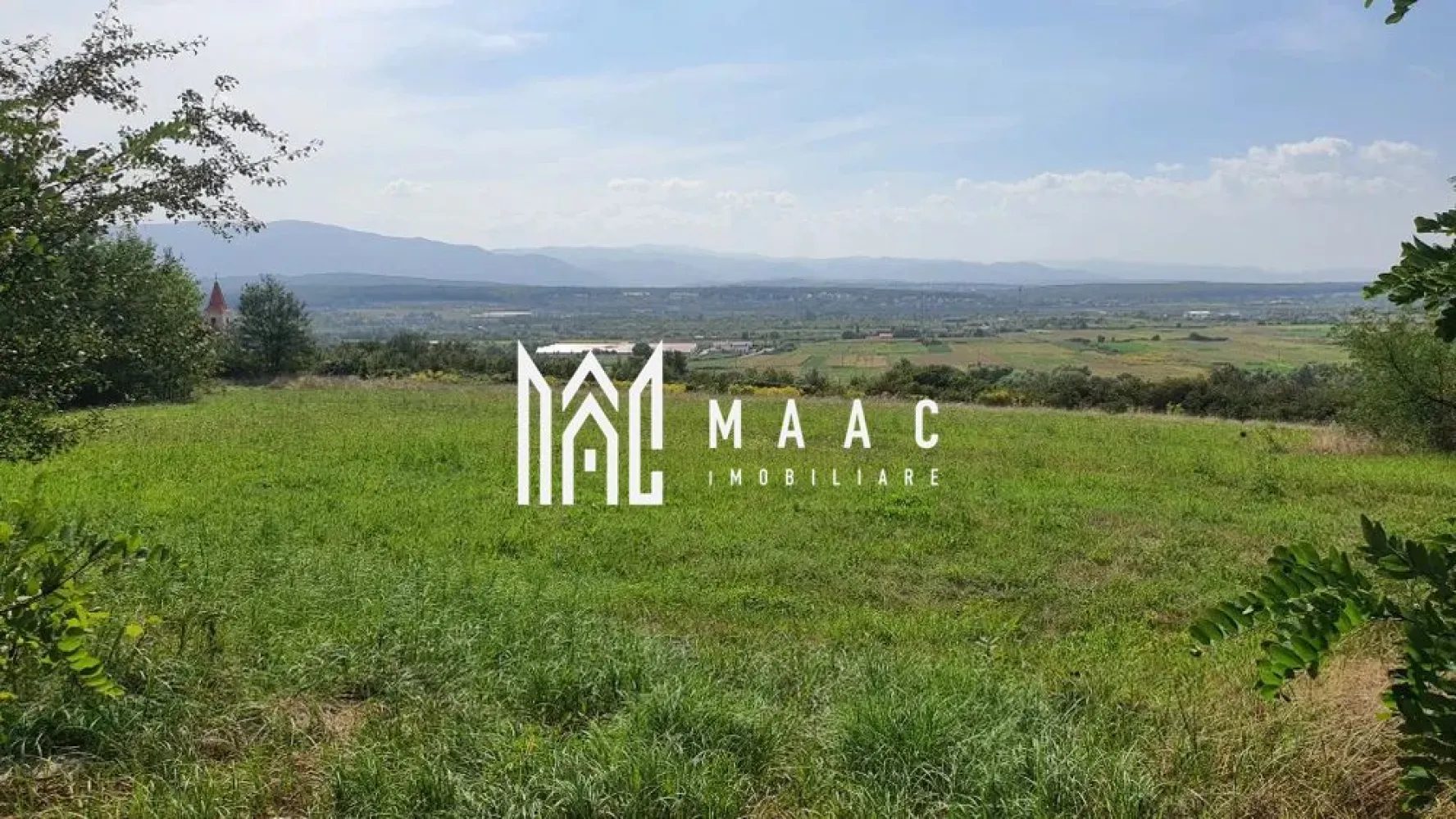 Teren | Mohu | 1703 MP | - MAAC IMOBILIARE vă oferă teren superb de vânzare în Mohu, la marginea satului, pe dealul din spatele bisericii. Suprafața terenului este de 1703 m², cu deschidere de 25,74 m și lungime de 70,9 m. Terenul este acoperit de o pădure de salcâmi tineri, printre care s-au construit 3 anexe din lemn, cu autorizație de construcție. Cabanele de lemn de pin nordic sunt construite pe fundație de beton, iar acoperișul este izolat și acoperit cu șindrilă. Terenul este racordat la apă curentă și dispune de fosă septică pentru canalizare (fosa septică are o capacitate de 2000 m³). Pentru mai multe detalii specificati ca ati vazut anuntul cu ID: CP2297889 }}