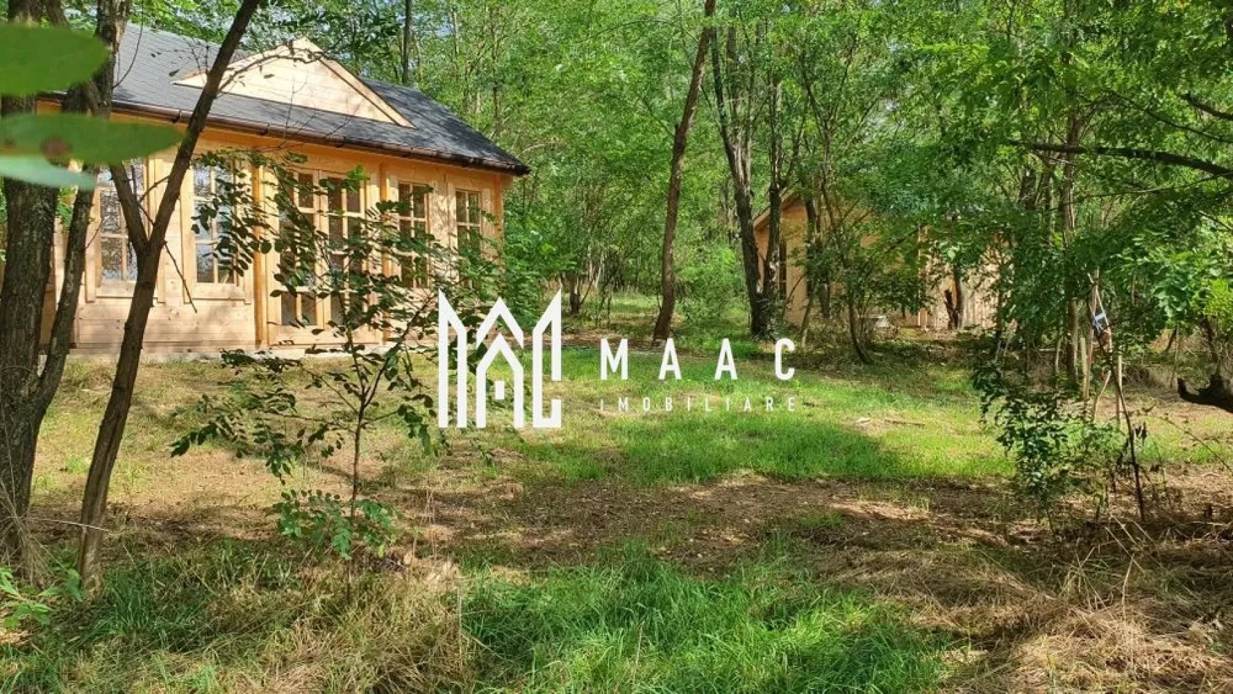 Teren | Mohu | 1703 MP | - MAAC IMOBILIARE vă oferă teren superb de vânzare în Mohu, la marginea satului, pe dealul din spatele bisericii. Suprafața terenului este de 1703 m², cu deschidere de 25,74 m și lungime de 70,9 m. Terenul este acoperit de o pădure de salcâmi tineri, printre care s-au construit 3 anexe din lemn, cu autorizație de construcție. Cabanele de lemn de pin nordic sunt construite pe fundație de beton, iar acoperișul este izolat și acoperit cu șindrilă. Terenul este racordat la apă curentă și dispune de fosă septică pentru canalizare (fosa septică are o capacitate de 2000 m³). Pentru mai multe detalii specificati ca ati vazut anuntul cu ID: CP2297889 }}