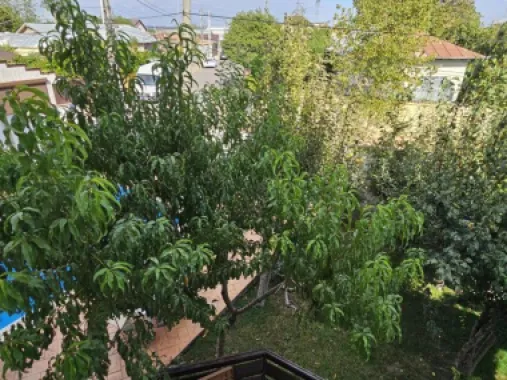 Glina vila noua 6 camere cu piscina