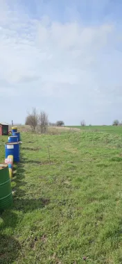 Afumati Balta Batal teren de vanzare 7000 mp