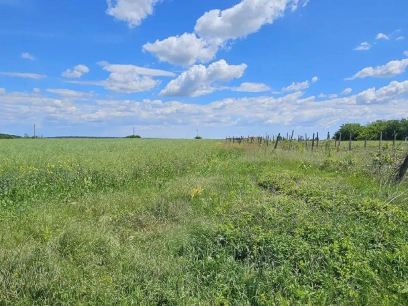 Teren extravilan Tancabesti - Teren in extravilanul comunei Tancabesti, format din doua parcele, 1158mp si 970 mp, in zona de case, cu drum de pamant si piatra, neamprejmuit, liber.
Terenul se afla destul de aproape de strada asfaltata, este deservit de un drum de piatra, curentul este in proximitate. terenul se afla la o distanta de aproximativ 2,5 km de DN1.