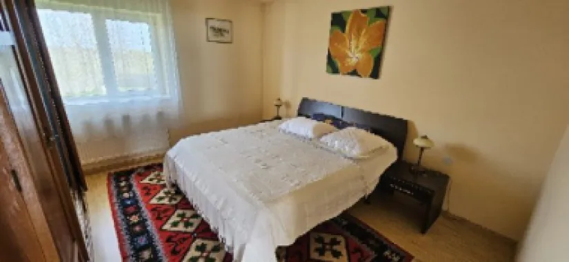 Ciopani vila 5 camere teren 4000 mp