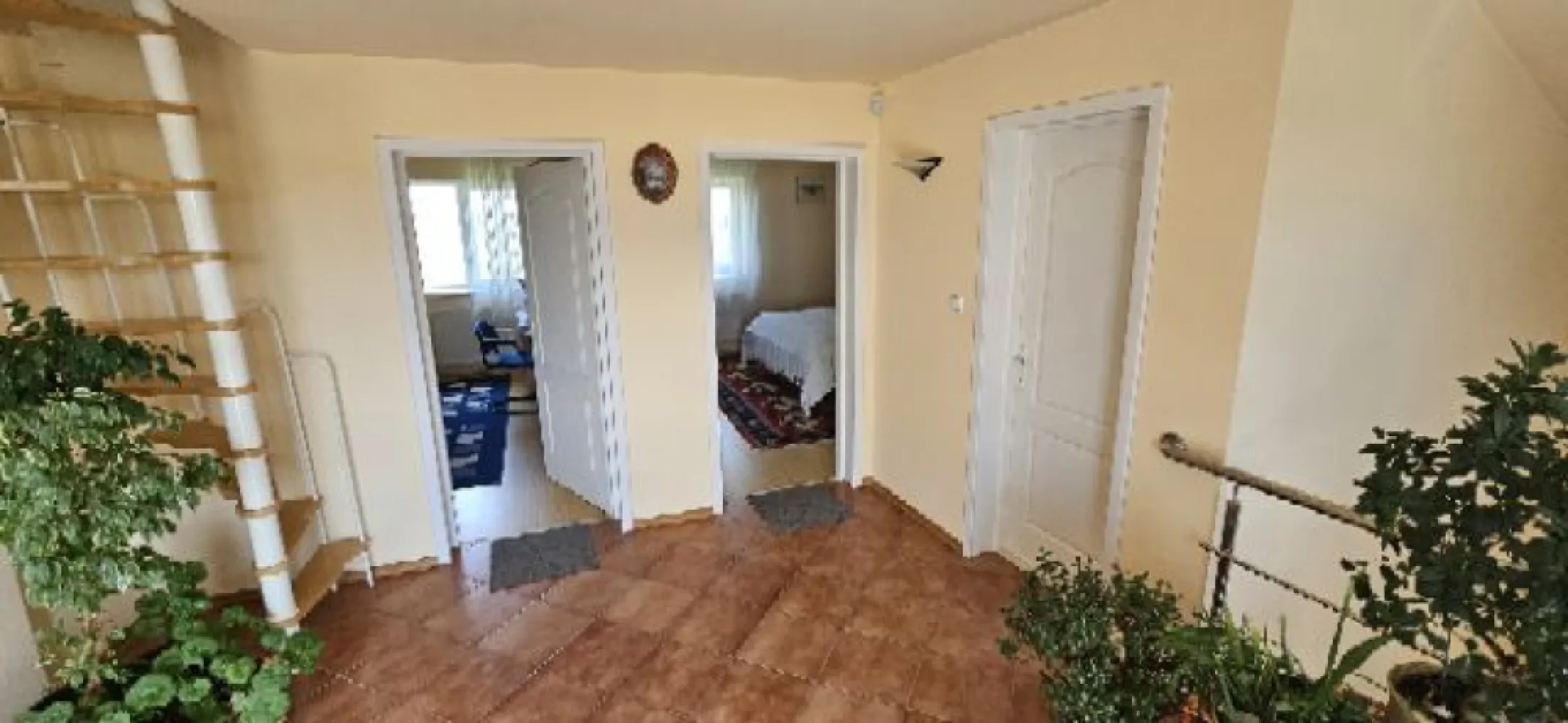 Ciopani vila 5 camere teren 4000 mp