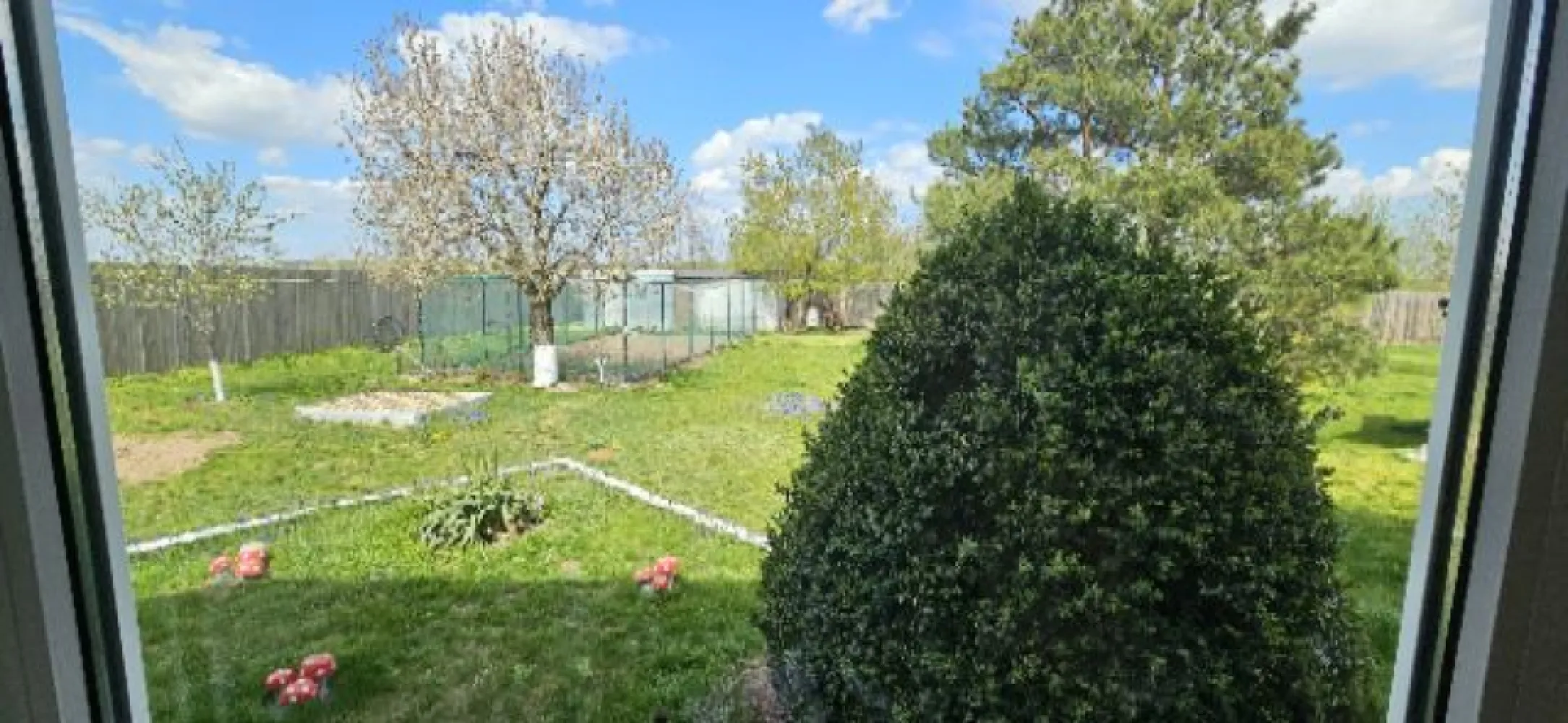 Ciopani vila 5 camere teren 4000 mp