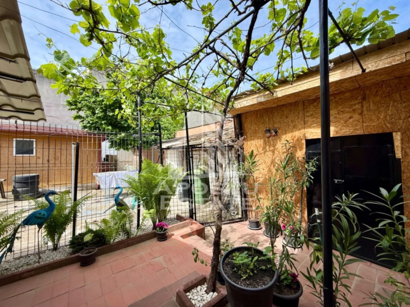 Apartament cu 2 camere si curte de vanzare in Complexul Studentesc