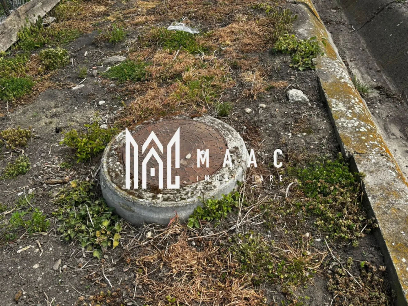 Teren intravilan | 500 mp | Utilități la poartă | Deschidere 16 ml | Alămor