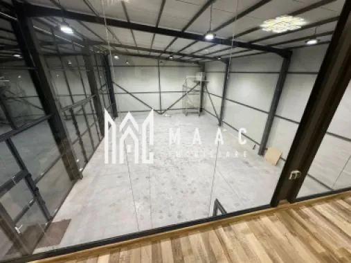 Hala | 250 MP | Teren 11.000 mp |