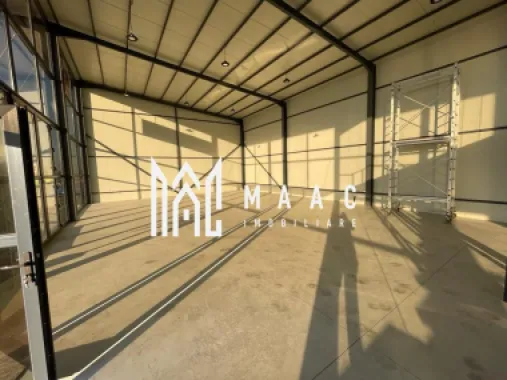 Hala | 250 MP | Teren 3900 MP |