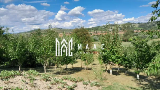 Casa individuala | 4 camere | Teren 2000 MP | Seica Mare