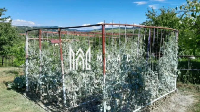 Casa individuala | 4 camere | Teren 2000 MP | Seica Mare