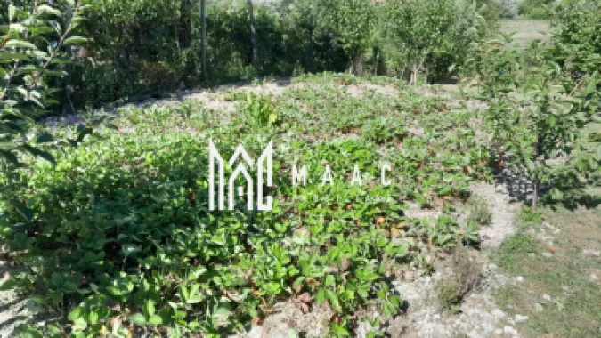 Casa individuala | 4 camere | Teren 2000 MP | Seica Mare