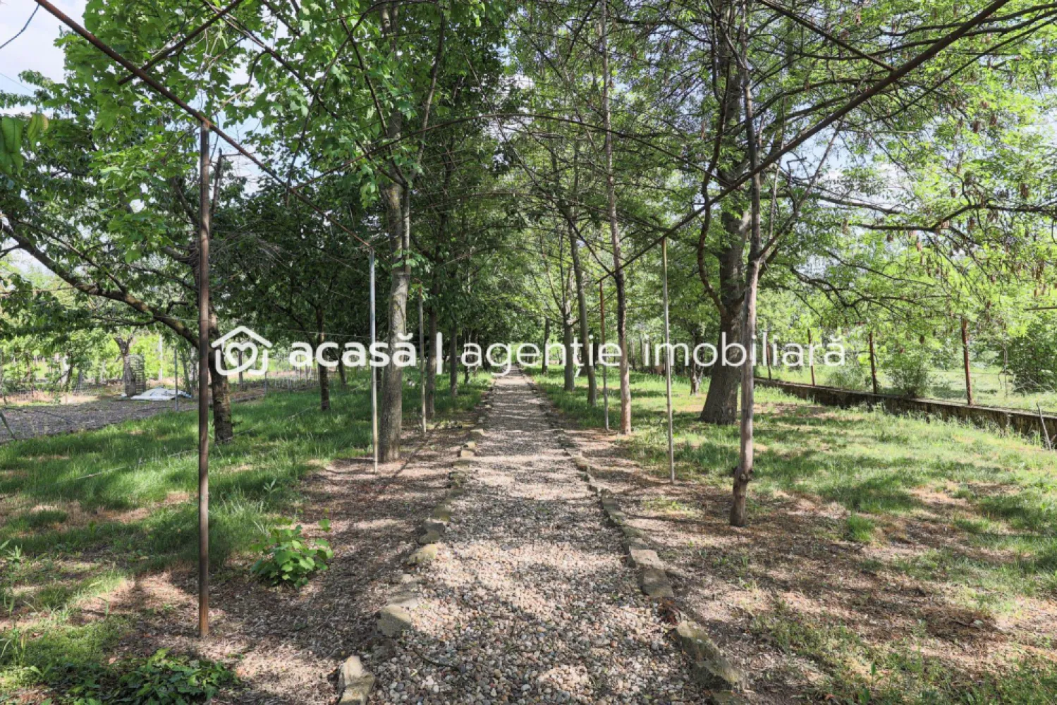Vilă 5 camere Grădiște | 2 corpuri | 0% comision. Preț negociabil! - Locație: Arad – cartierul Grădiște, zonă foarte apreciată pentru liniște, spațiu verde și acces rapid către puncte esențiale din oraș.

Preț: 270.000 € negociabil! Comision 0% pentru cumpărător!

Vă propunem spre achiziție o vilă specială, amplasată pe un teren generos de 1.500 mp, într-un cadru natural plăcut, cu două corpuri de clădire independente și facilități ideale pentru o familie numeroasă sau activitate rezidențial-comercială.

Suprafață teren: 1.500 mp
Suprafață construită desfășurată: 300 mp
5 camere spațioase și luminoase, 2 bucătării interioare complet funcționale, 1 bucătărie de vară închisă, 3 băi 

Atelier + spațiu de depozitare
Terasă, zonă barbeque
Garaj pentru 2 mașini + 2 locuri de parcare în curte
Proprietatea se vinde parțial mobilată

Curte generoasă cu vegetație mediteraneană și livadă matură
Spații verzi, intimitate și liniște garantate
Ideală pentru relaxare, grădinărit sau activități în aer liber

Centrală termică pe gaz 
Utilități separate pentru fiecare corp
Acces facil, stradă largă, poziționare excelentă

Pentru detalii și vizionare:
Sebastian Nica – 0722 252 639

Nu dispui de toată suma? Te ajutăm noi gratuit! Îți obținem oferte de la 16 bănci.

Ai o proprietate de vânzare în Arad și vrei să știi cât valorează cu adevărat?
Sună-mă pentru o evaluare gratuită, fără obligații.

Birou: ACASĂ | Agenție imobiliară Arad
Bulevardul Decebal 2, Arad 310133