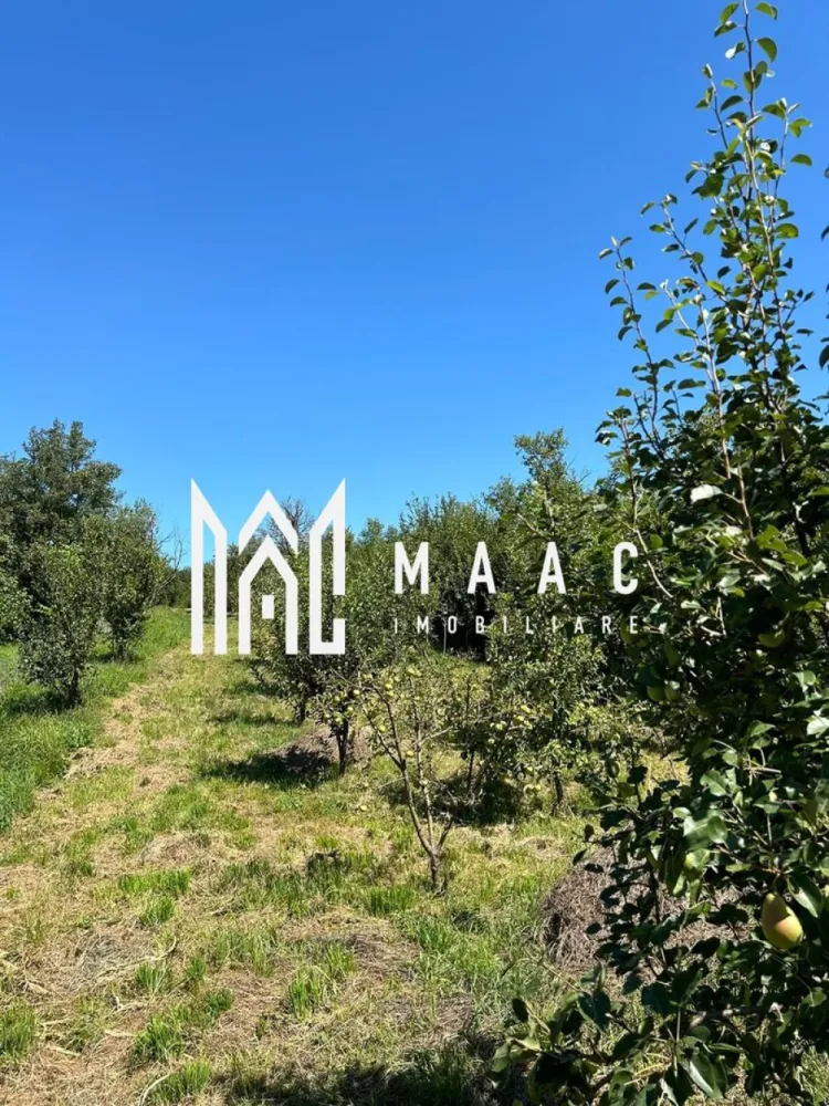 Casa 3 camere I Acces auto I Teren 1.177 mp I Cisnadioara