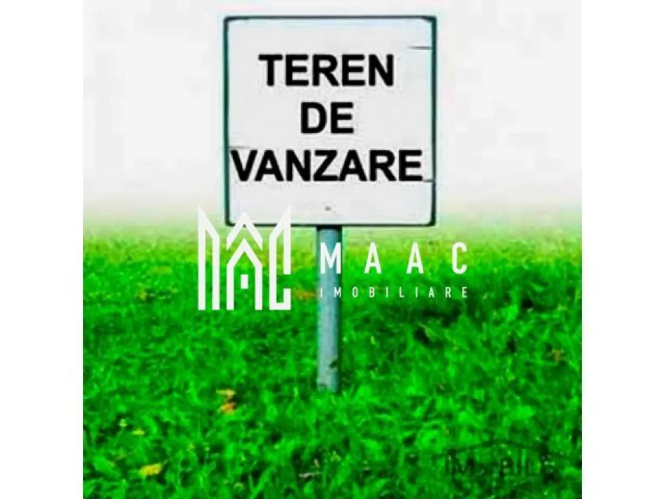 Teren Intravilan | 6000 mp | Turnisor - MAAC Imobiliare vă prezintă un teren generos de 6000 mp, ideal pentru dezvoltări imobiliare sau investiții, situat într-o zonă în plină dezvoltare, în apropierea unor construcții rezidențiale (blocuri). Detalii Proprietate: Suprafață: 6000 mp Deschidere: 24 m la un capăt și 22 m la celălalt capăt Drum de acces: La ambele capete ale terenului Certificat de urbanism: Deținut Facilități și Avantaje: Proximitate: Situat în apropierea unor construcții rezidențiale, oferind potențial ridicat pentru dezvoltare Accesibilitate: Drumuri de acces la ambele capete ale terenului, facilitând dezvoltarea și accesul Certificat de urbanism: Disponibil, oferind claritate și transparență privind posibilitățile de dezvoltare Locație: Zonă în plină dezvoltare, ideală pentru proiecte imobiliare Condiții de Vânzare: Ideal pentru dezvoltatori sau investitori interesați de proiecte rezidențiale într-o zonă în creștere. Pentru mai multe detalii și pentru a programa o vizionare, vă rugăm să ne contactați precizand : CP2087059 }}