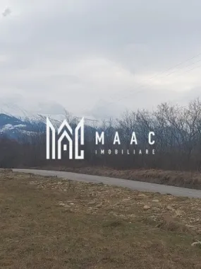 Logo MAAC IMOBILIARE logo