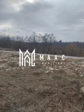 Teren intravilan I Valea Avrigului I 5000 mp