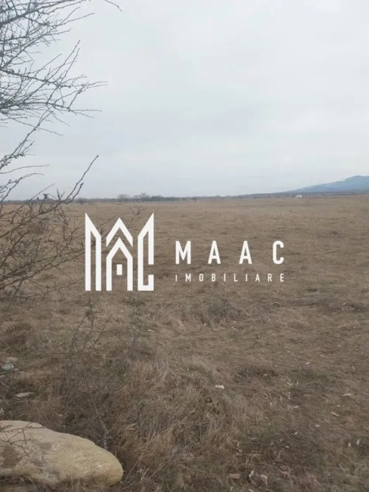 Teren intravilan I Valea Avrigului I 5000 mp - MAAC Imobiliare vă propune spre vânzare un teren intravilan în Avrig, zona Valea Avrigului, într-o zonă turistică, în continuă dezvoltare, cu o suprafata de 5000 mp, cu posibilitate de parcelare de minim 1000 mp. Deschidere la drum principal 35 ml si la strada secundara de 45 ml. Zona este una cu potențial mare și o dezvoltare continua. Pe teren, conform certificatului de urbanism, se poate construi P+2E+M. Pentru mai multe detalii, precizati telefonic ca ati vazut anuntul cu ID: CP2078114 }}