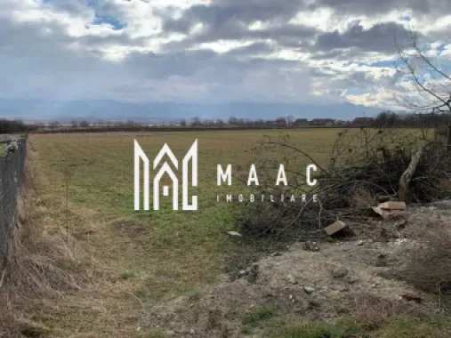 Teren intravilan I 2300 MP I DN 1 - Bradu