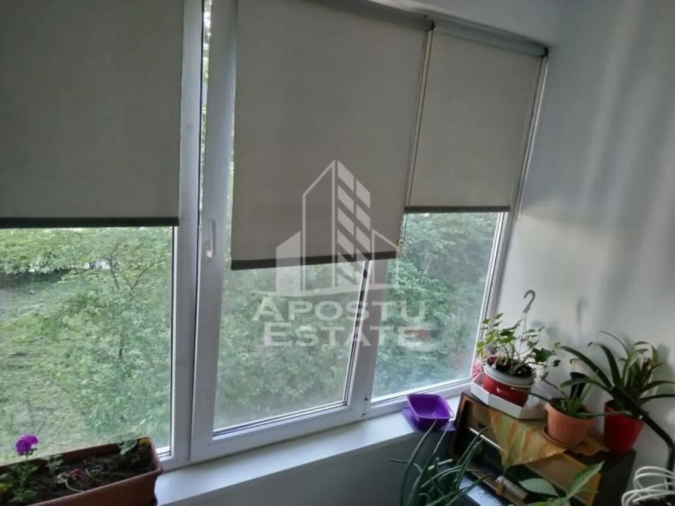 Apartament 1 camera de vanzare, zona Circumvalatiunii, Timisoara - Agentia imobiliara APOSTU ESTATE va propune spre vanzare un apartament cu 1 camera, situat la etajul 1/10, in zona Circumvalatiunii/ Gheorghe Lazar din Timisoara, judetul Timis.
Apartamentul este amplasat la etajul 1/10 al unui imobil construit intre 1975 si are o suprafata utila de 32 mp, blocul este dotat cu lift si camera de supraveghere pe fiecare etaj.
Confortul termic se realizeaza prin reteaua orasului Colterm.
Apartamentul este compartimentat astfel:
-hol de acces
-bucatarie inchisa
-camera cu iesire spre balcon inchis
-baie cu cada 
Proprietatea se vinde cum se vede in poze, necesita renovare si este o varianta ideala pentru familii, cuplu sau investitie, se poate percepe o chirie de 250-300e lunar.
Vecinatati: Complex Bega ( Pepco, Mega Image, Gyn One 5) la 2 min de mers pe jos , mijloace de transport in comun,magazine,banci,farmacii la 5 min de mers pe jos, Iulius Mall la 5 min cu masina, Piata Unirii la 5 min cu masina, Kaufland Gh.Lazar la 6min de mers pe jos.
Agentia imobiliara Apostu Estate va ofera consultanta bancara gratuita prin intermediul colaboratorilor nostri pentru alegerea celui mai potrivit tip de credit, astfel incat tu sa devi noul proprietar al acestui apartament.
Va asteptam cu drag la o vizionare!
Id Intern: CP3064776