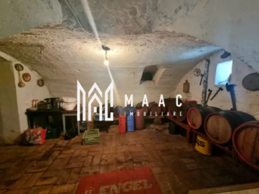 Casa 6 camere I 250MPU | 867MP Teren | Turnisor