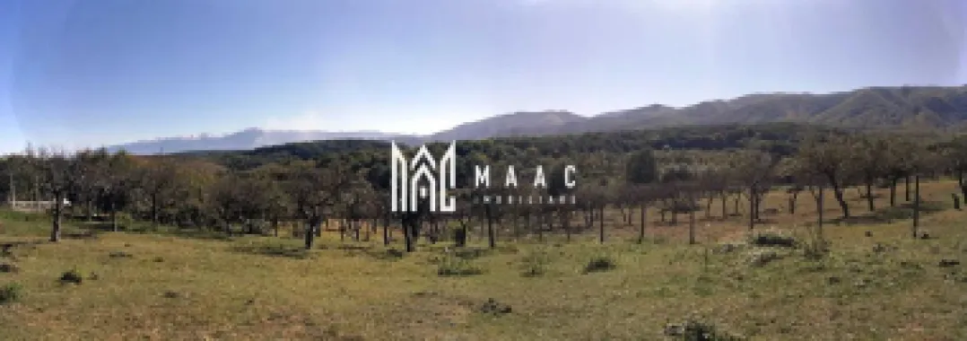 Logo MAAC IMOBILIARE logo