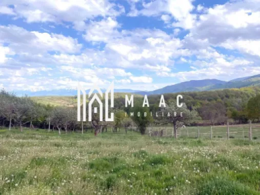 Teren intravilan I 3370 mp I PUZ pentru P+2 I Zona Cisnadie