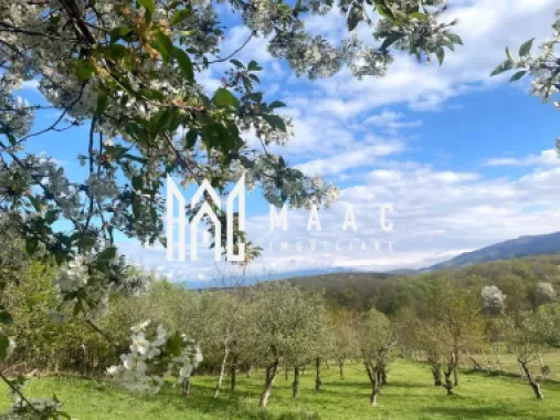 Teren intravilan I 3370 mp I PUZ pentru P+2 I Zona Cisnadie