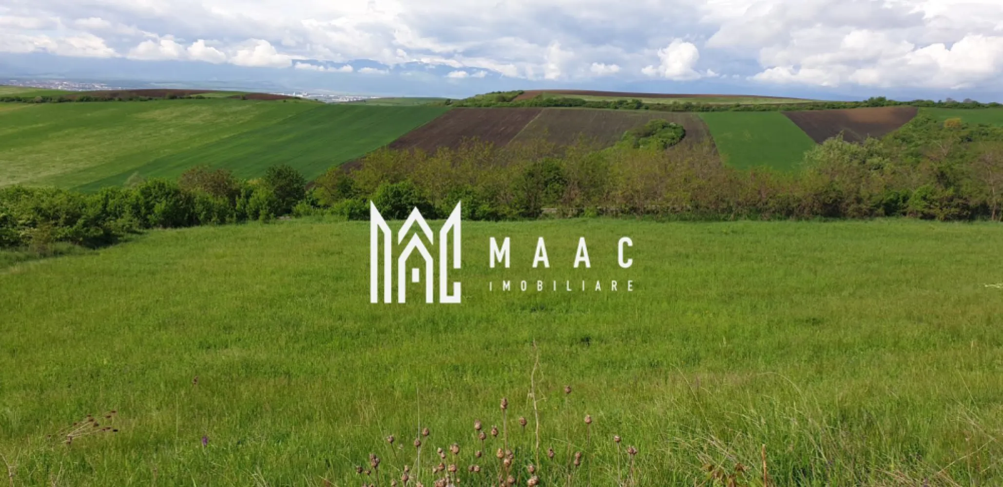 Teren | S+P+E | S+P+M | Intravilan | 9826 MP | Sura Mare - MAAC Imobiliare va prezinta un teren intravilan in Sura Mare cu suprafata de 9.826 MP. Cu o suprafață de 9.826 metri pătrați, acest teren oferă o paletă largă de posibilități pentru dezvoltare cu potențial de construcție cu un coeficient de ocupare a terenului (POT) de 40%. Conform certificatului de urbanism, terenul permite construcții variate, incluzând structuri pe trei niveluri - S+P+E sau S+P+M. Această flexibilitate oferă un cadru propice pentru proiecte rezidențiale, unități de învățământ, comerciale sau turistice. Acest teren este potrivit pentru construirea de unități de învățământ, spații comerciale, servicii, restaurante, facilități turistice și locuri de cult. Cu căi de acces, terenul asigură conexiuni ușoare către principalele drumuri și orașe din împrejurimi. O altă caracteristică a acestui teren este posibilitatea de a realiza amenajări specifice, subliniind frumusețea naturală a locației. Pentru mai multe detalii, precizati telefonic ca ati vazut anuntul cu ID CP1950393 }}